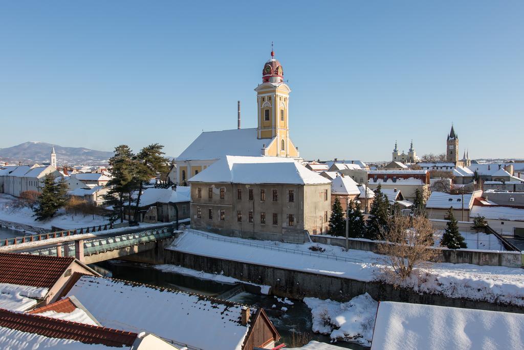 Tower View Apartment Baia Mare Eksteriør billede